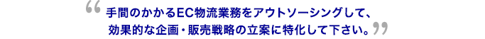 手間のかかるEC物流業務をアウトソーシングして、効果的な企画・販売戦略の立案に特化して下さい。